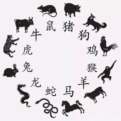 (乌合之众是指生肖什么动物)乌合之众：十二生肖代表的人群特征及命运预测