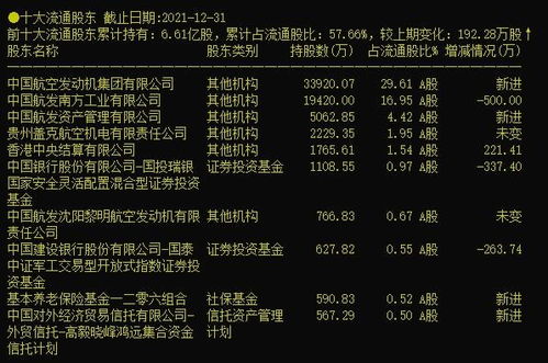 2肖2码必中|深入理解各种问题的解决方案_试炼型.6.540