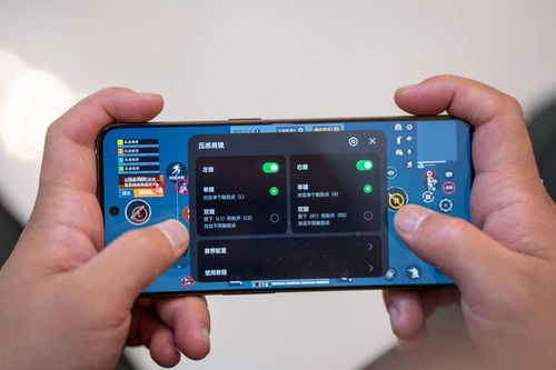 494949开奖结果最快|探索生活中的细腻瞬间_旗舰版IOS.4.2